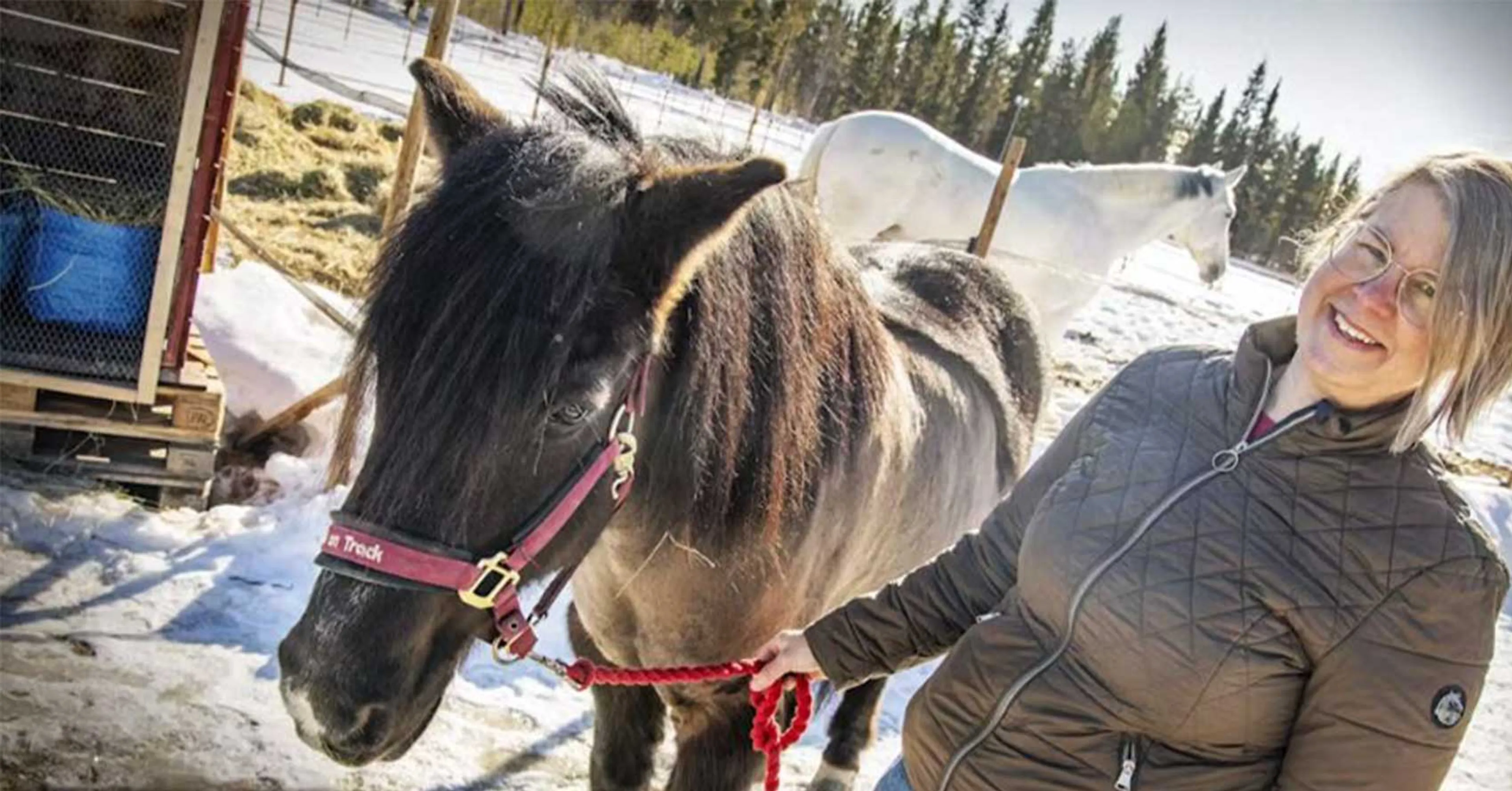 En kvinna i vinterjacka håller i tömmarna på en svart häst med röd grimma, medan en vit häst syns i bakgrunden på en solig vinterhage.