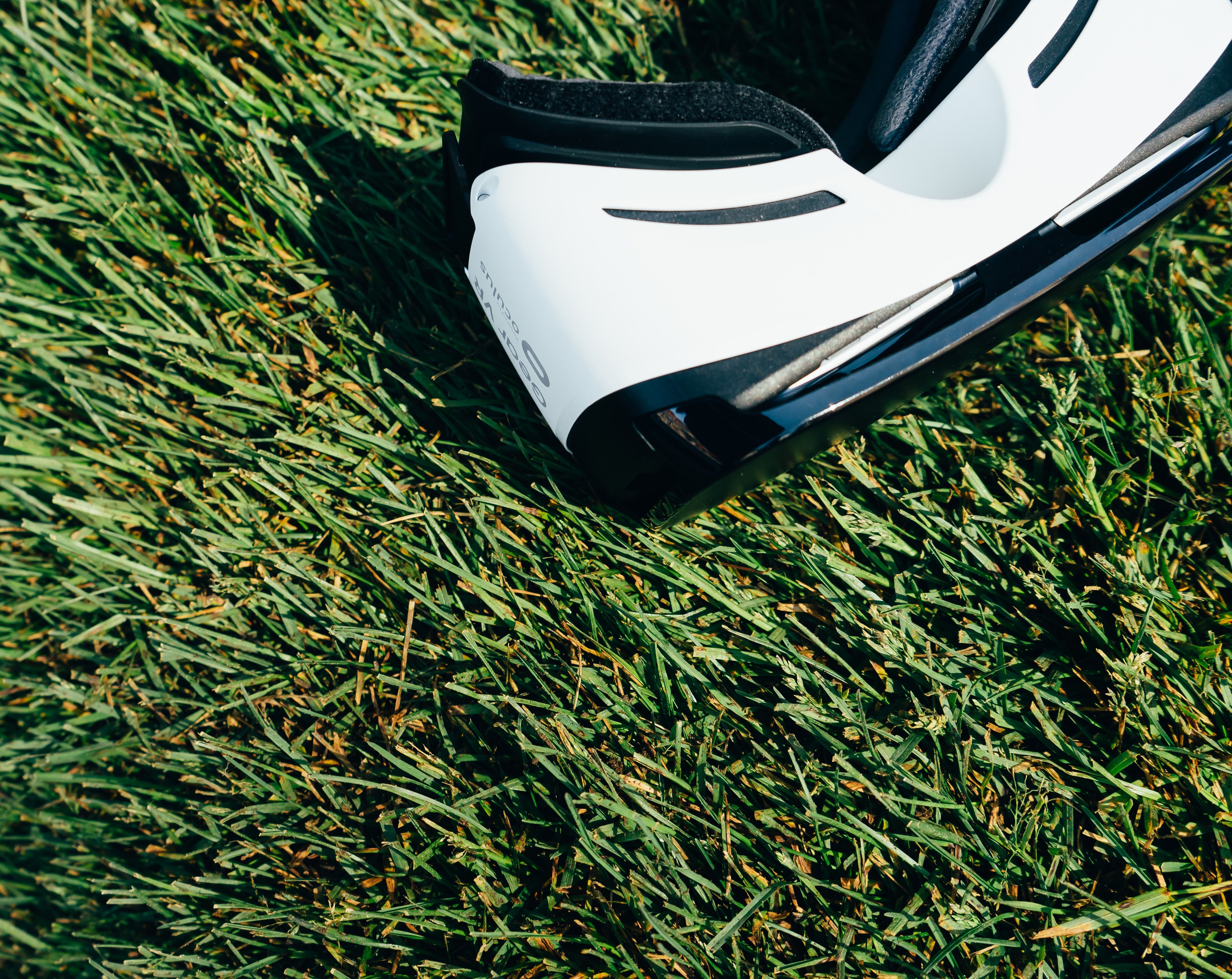 a vr in grass