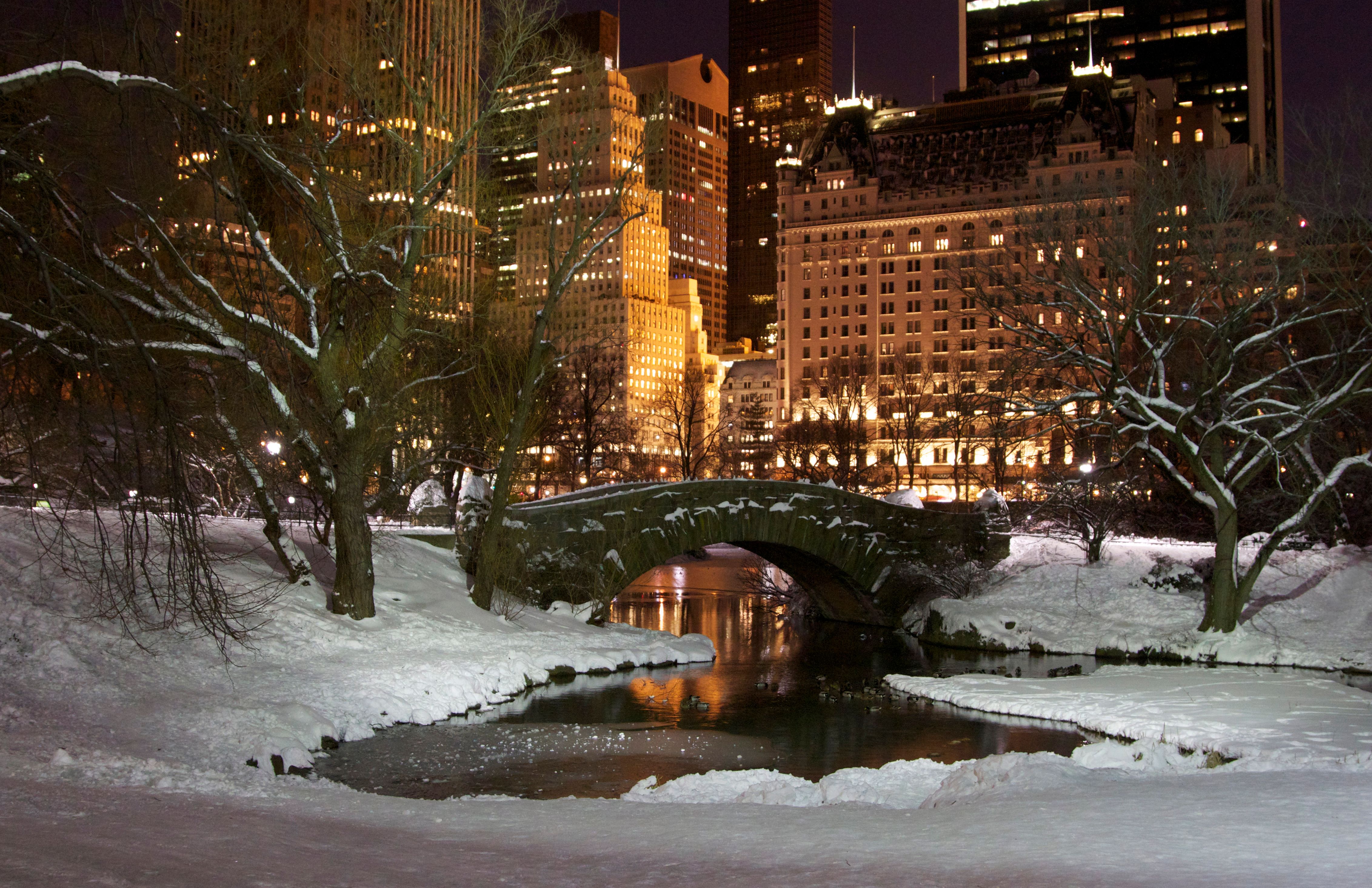 Central Park at Night