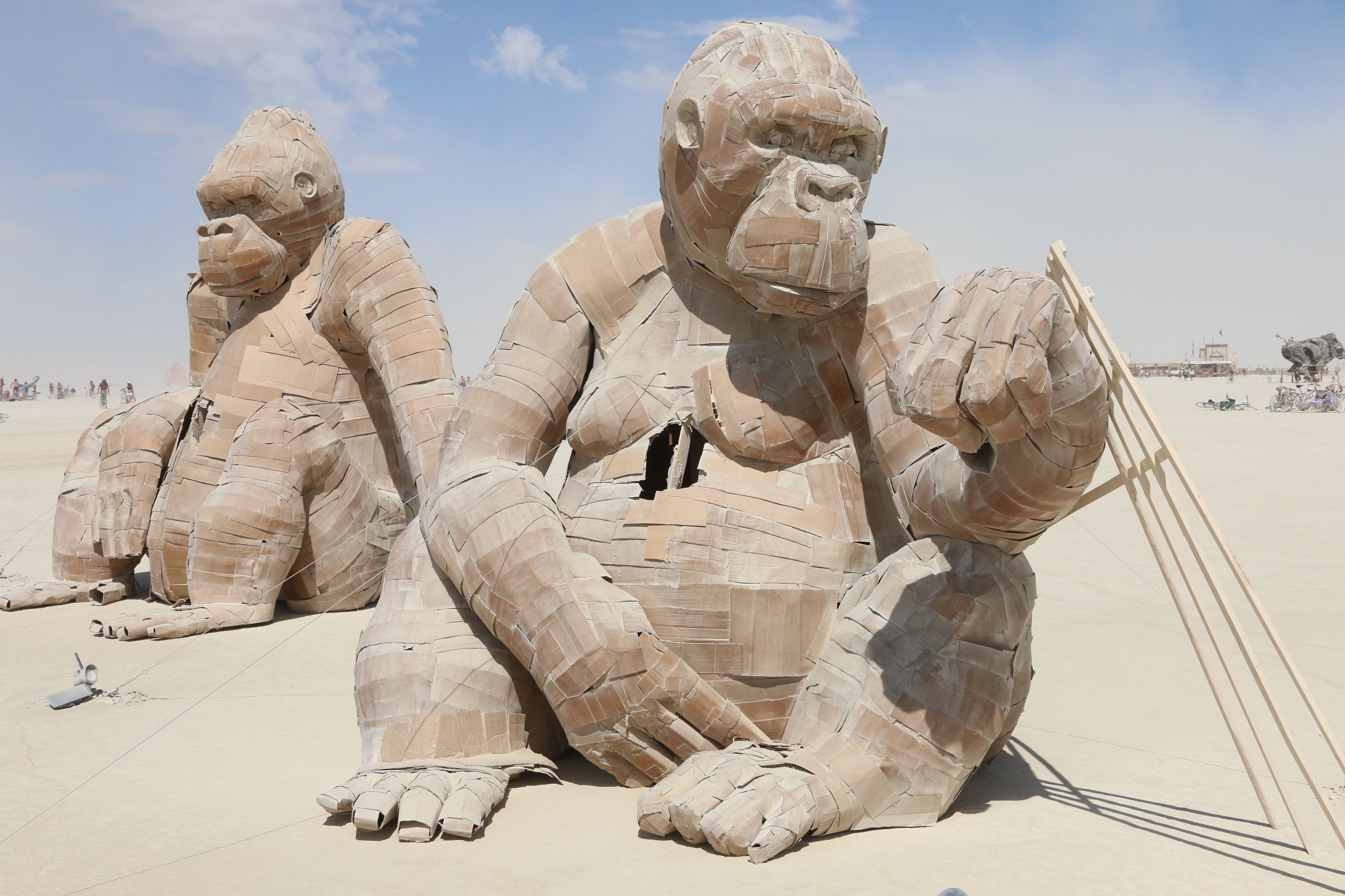 The Cardboard Titans