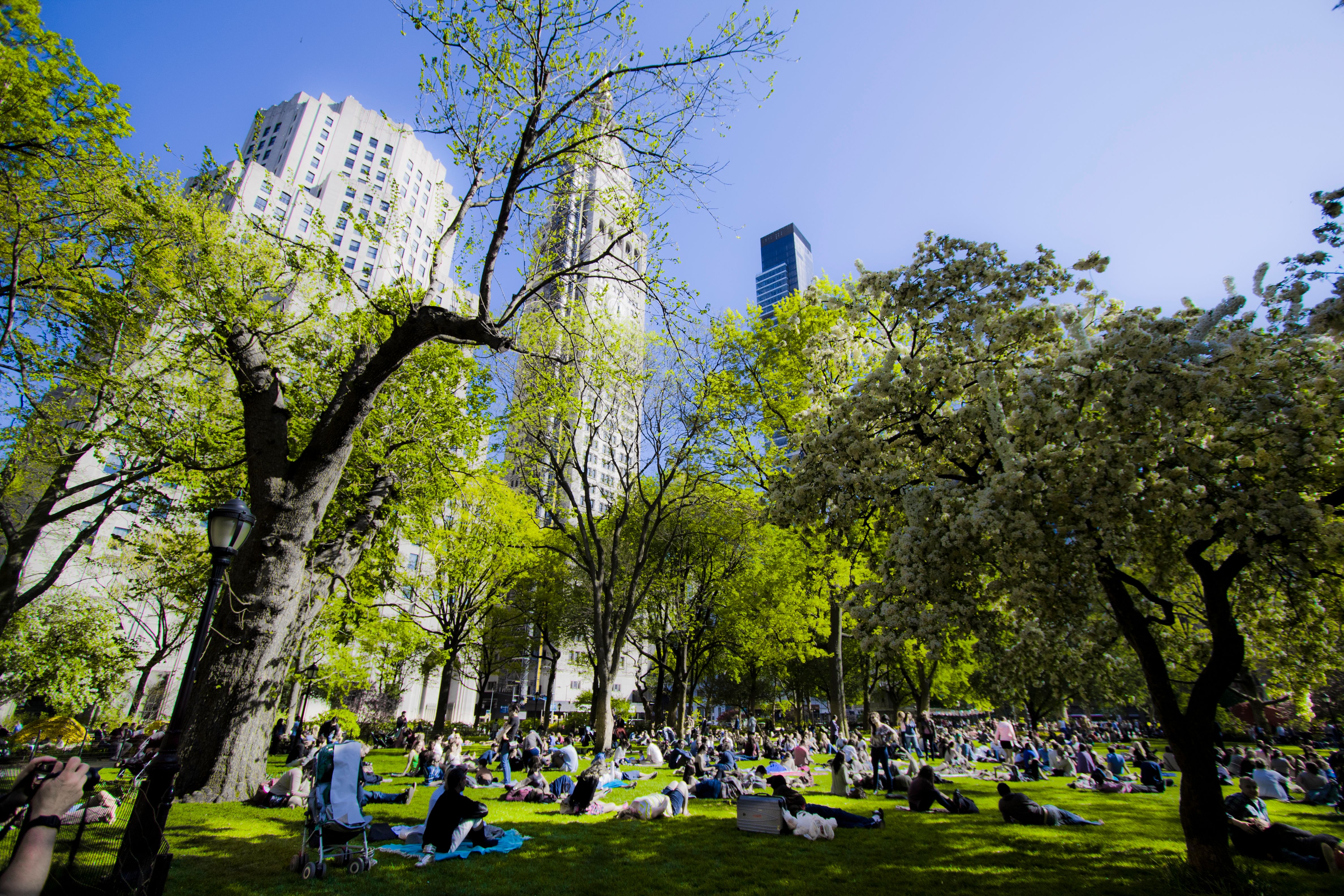 Madison Square Park