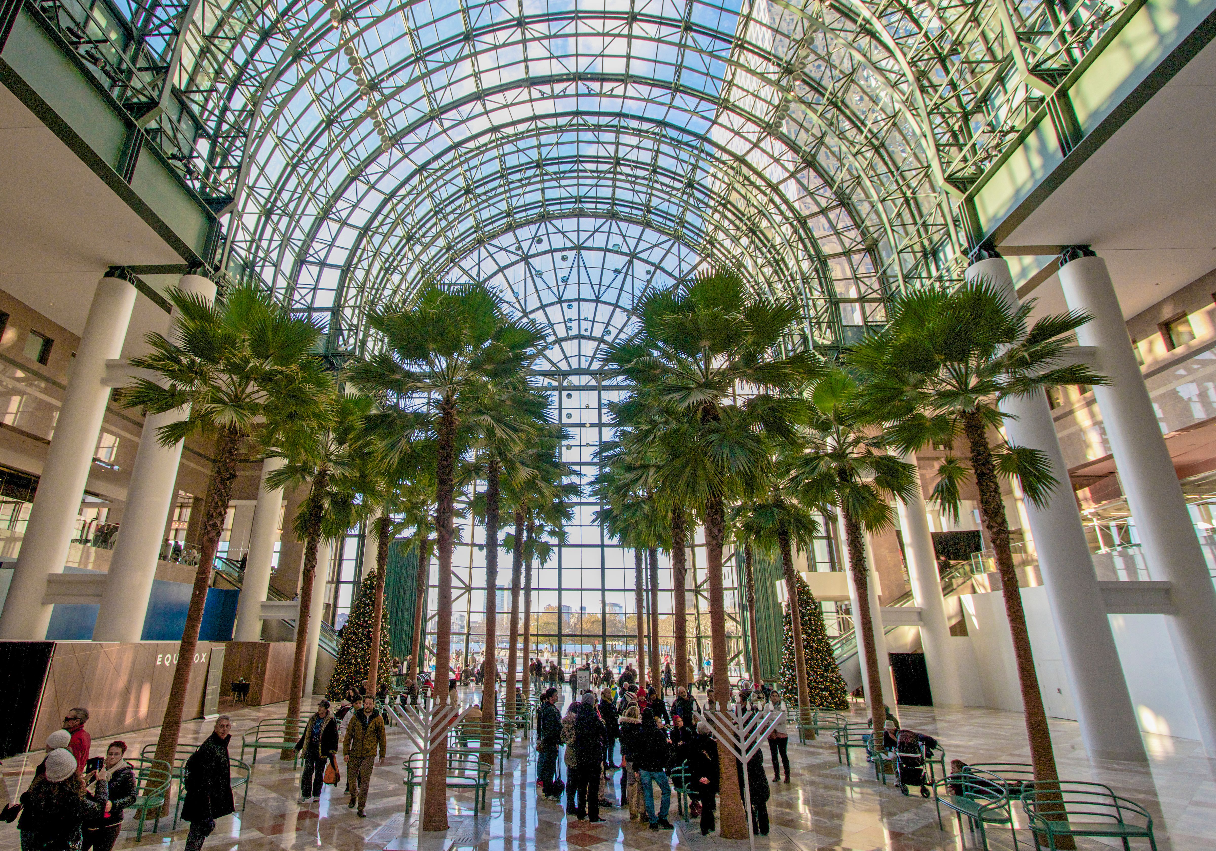 Indoor Palms - Brookfield Place