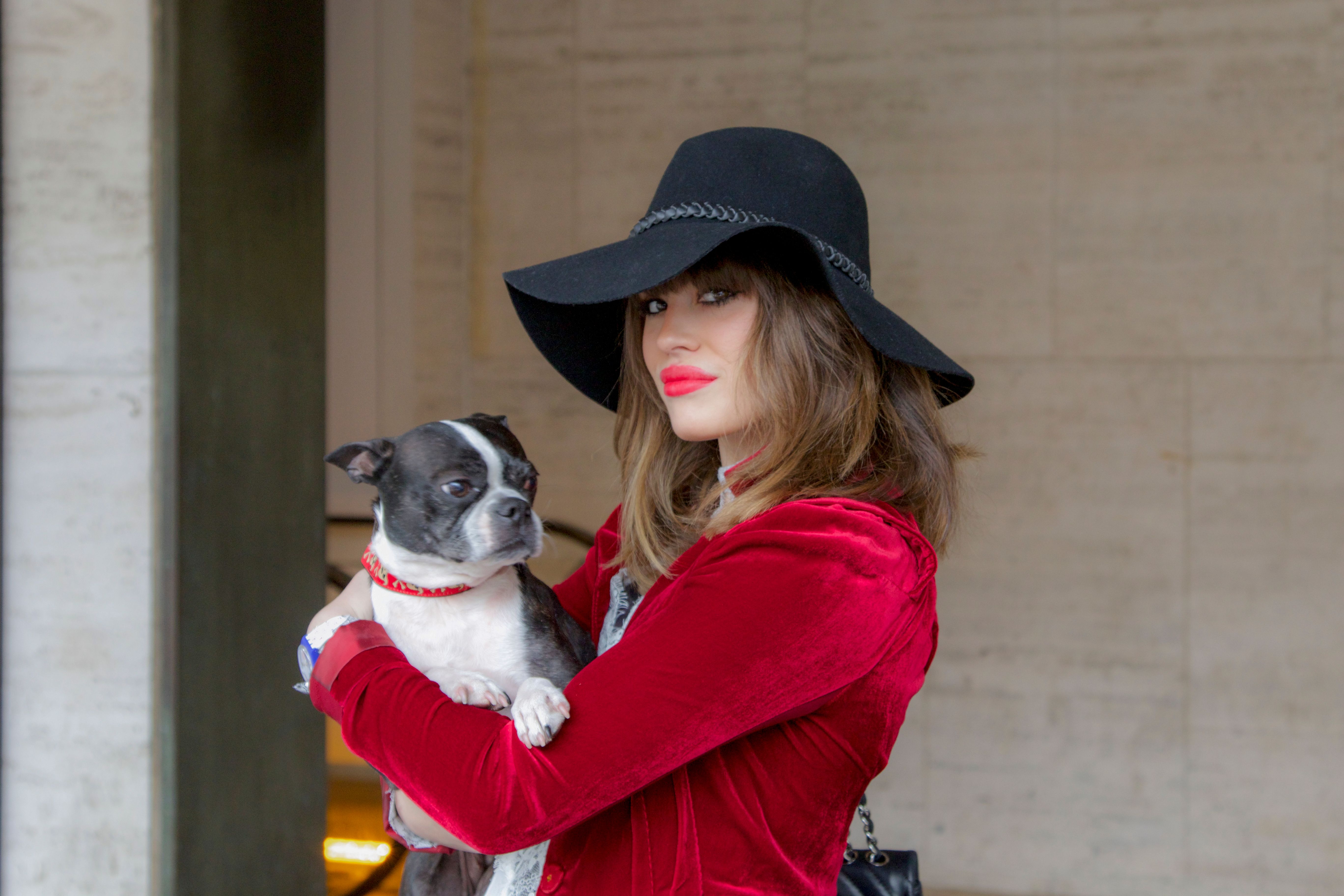 Velvet and Companionship