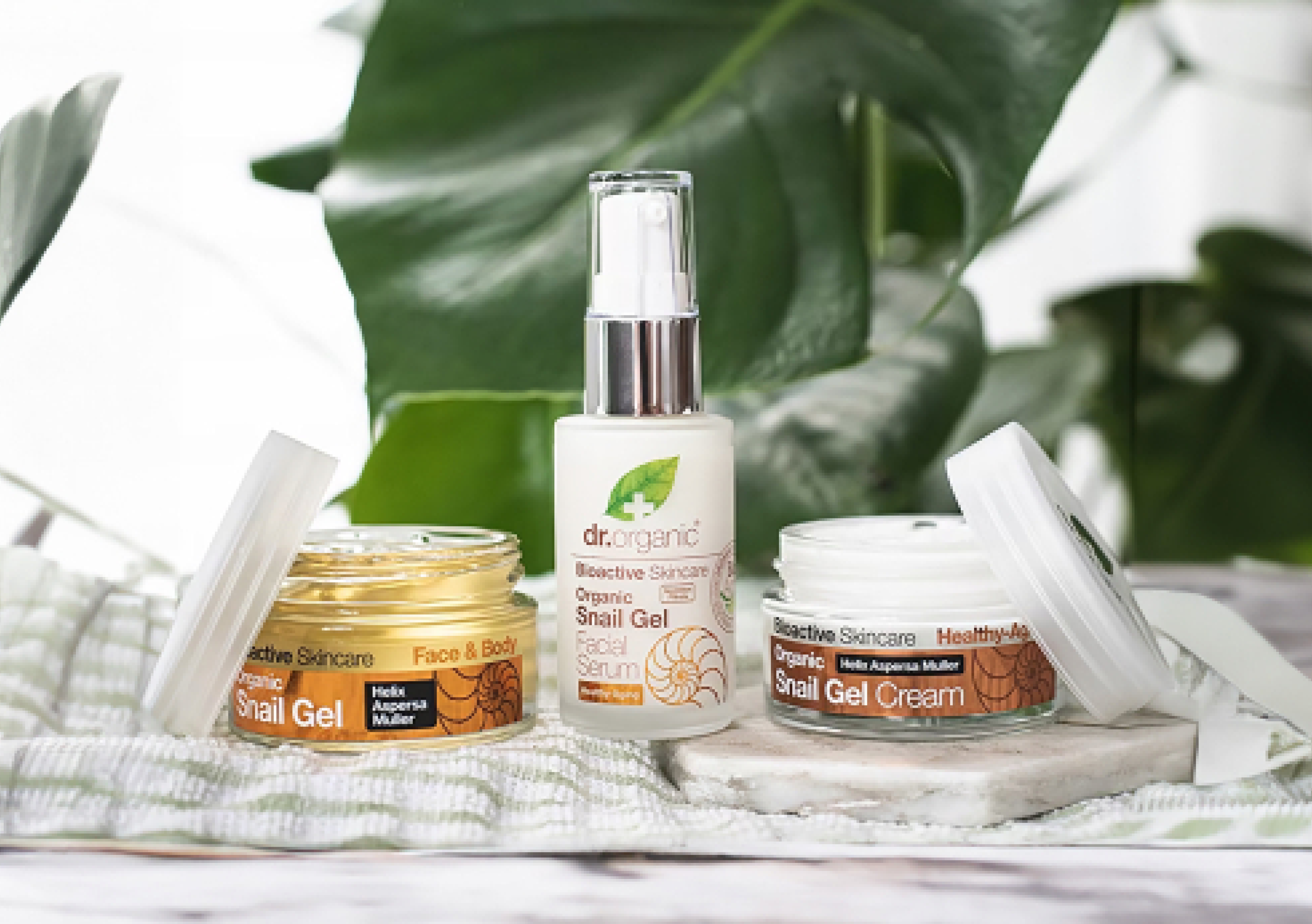 An image showing three product on a white counter with a plant in the background. The products are a pot of snail gel, a pot of snail gel cream and snail gel facial serum