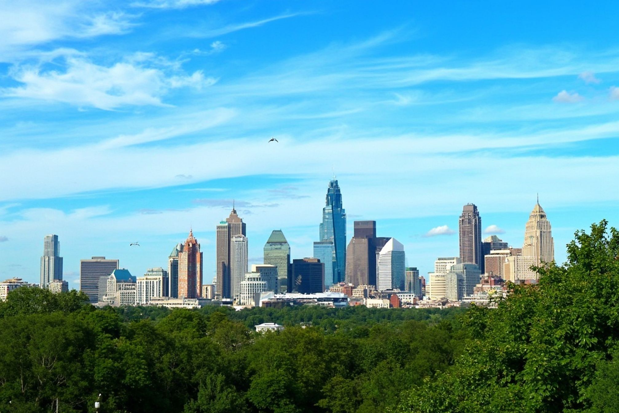 Charlotte, NC Skyline