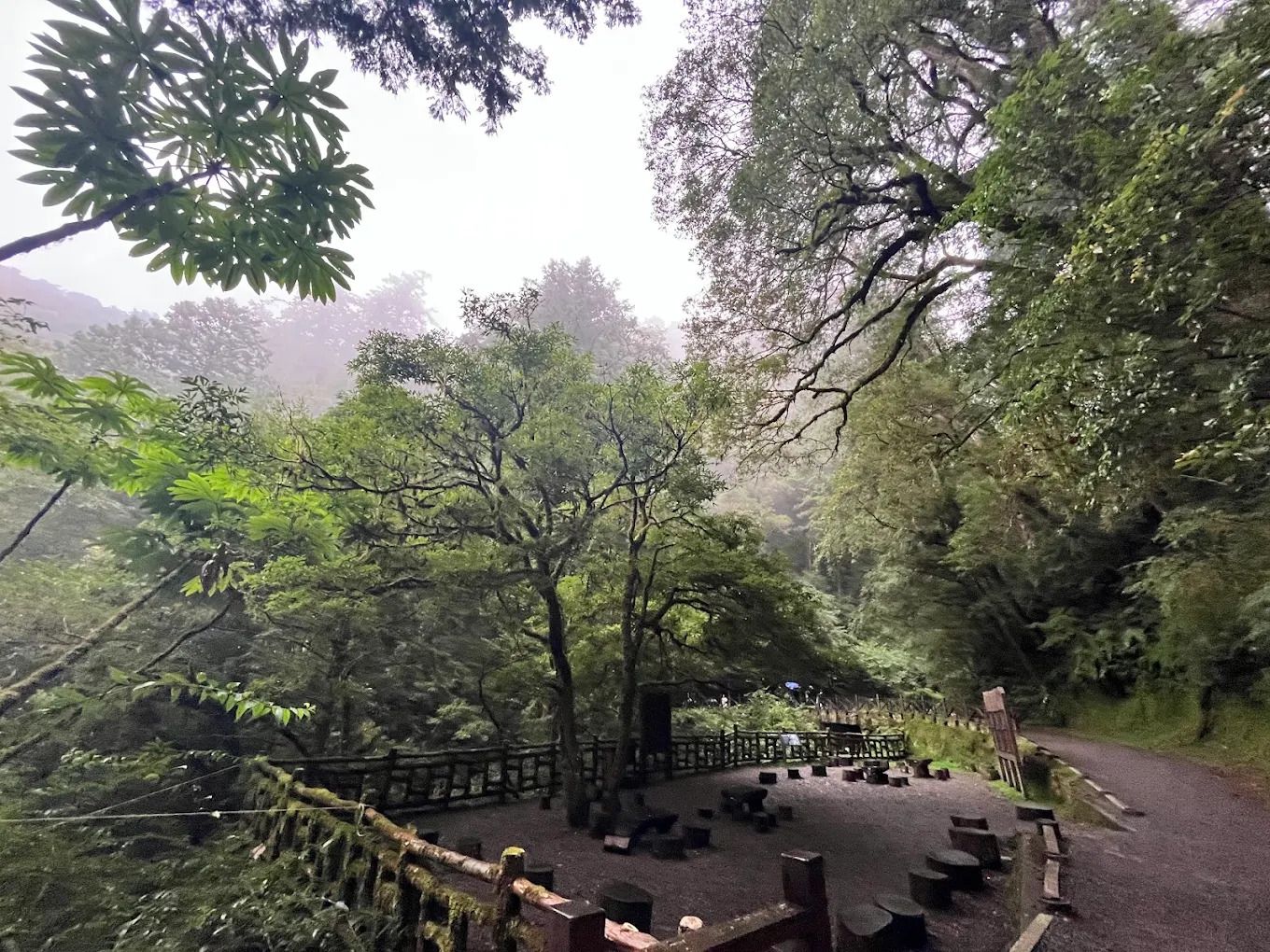 拉拉山神木群步道