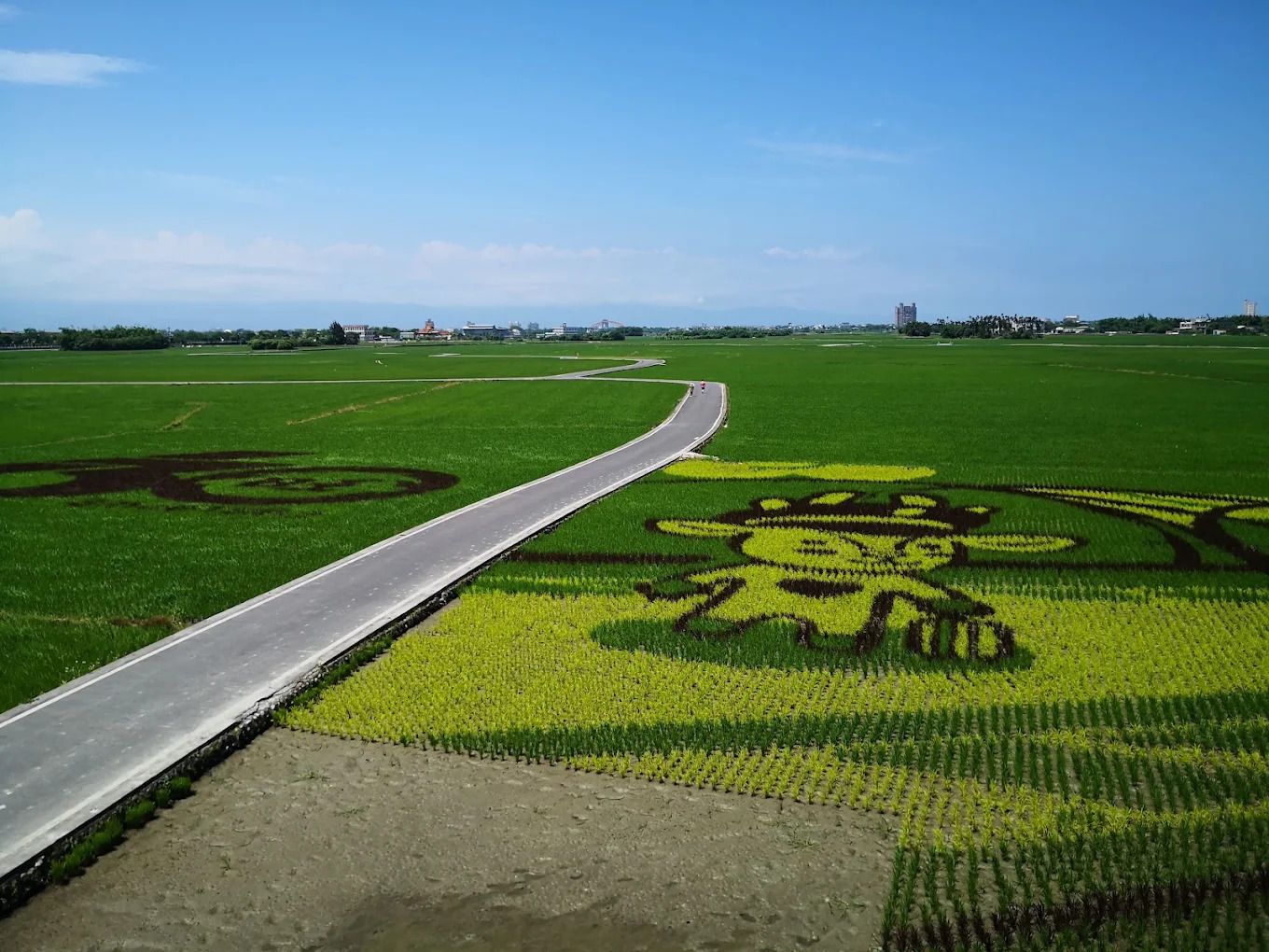 冬山伯朗大道