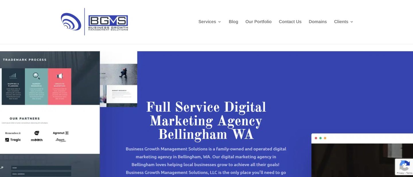 Business Growth Management Solutions (BGMS)
