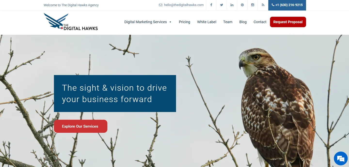 Digital Hawks
