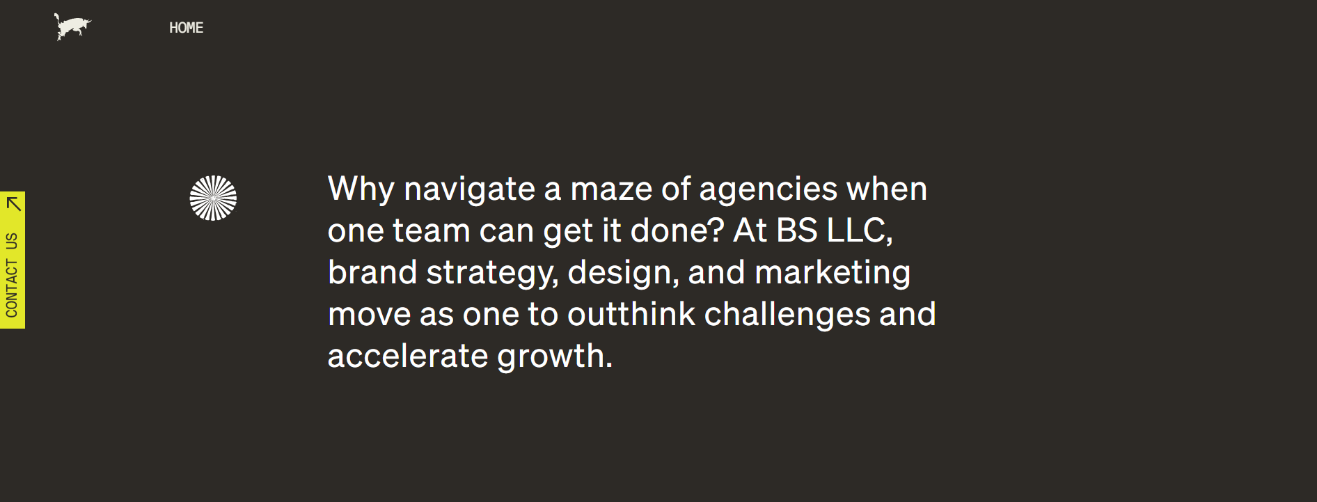 BS LLC