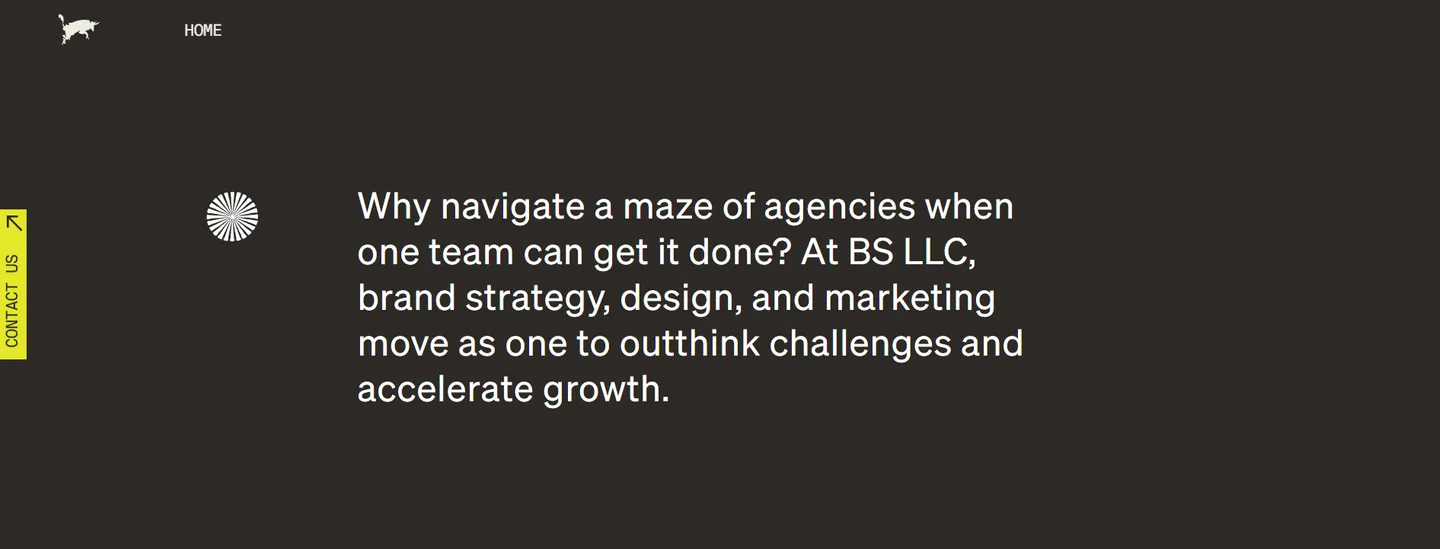 BS LLC