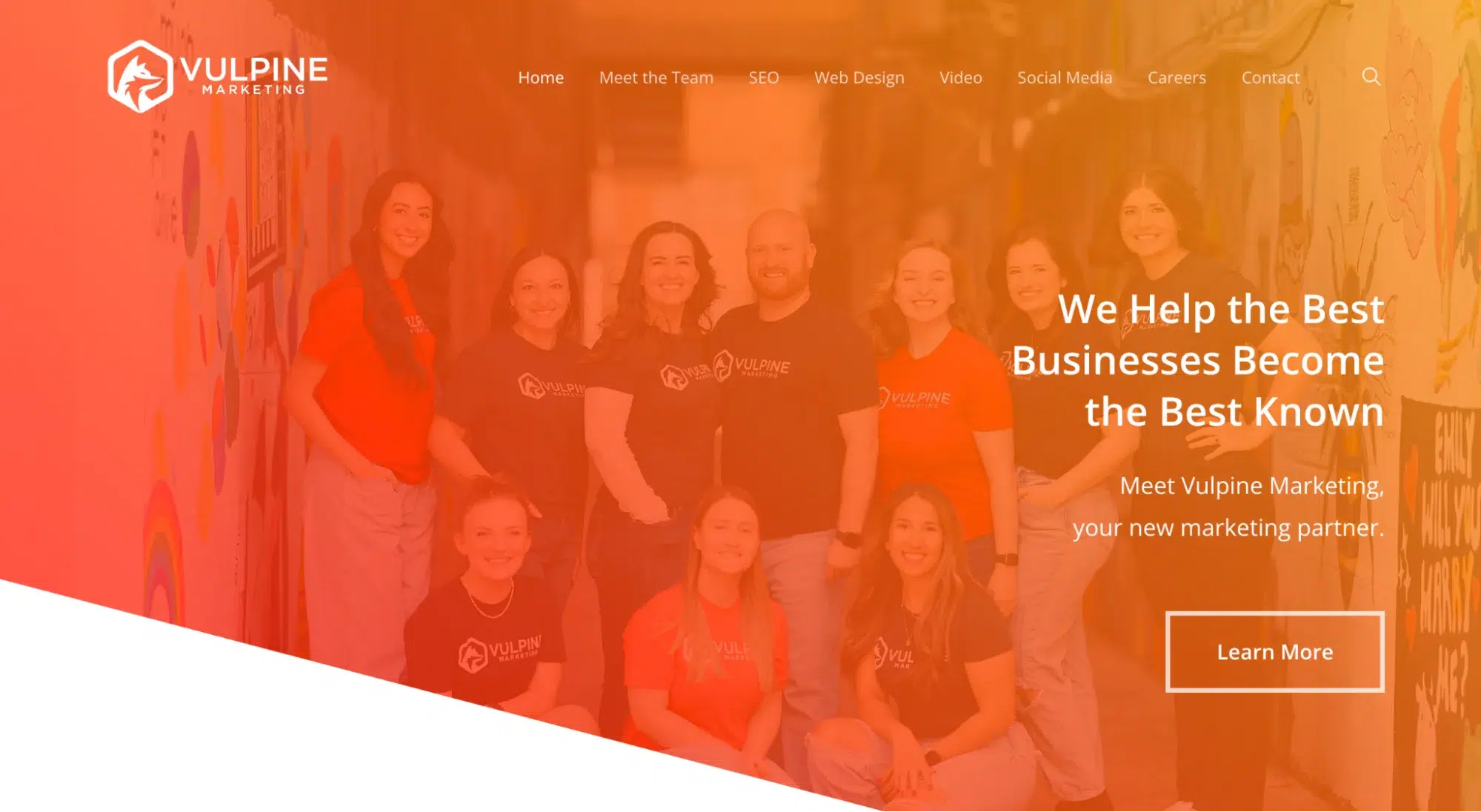 vulpine marketing