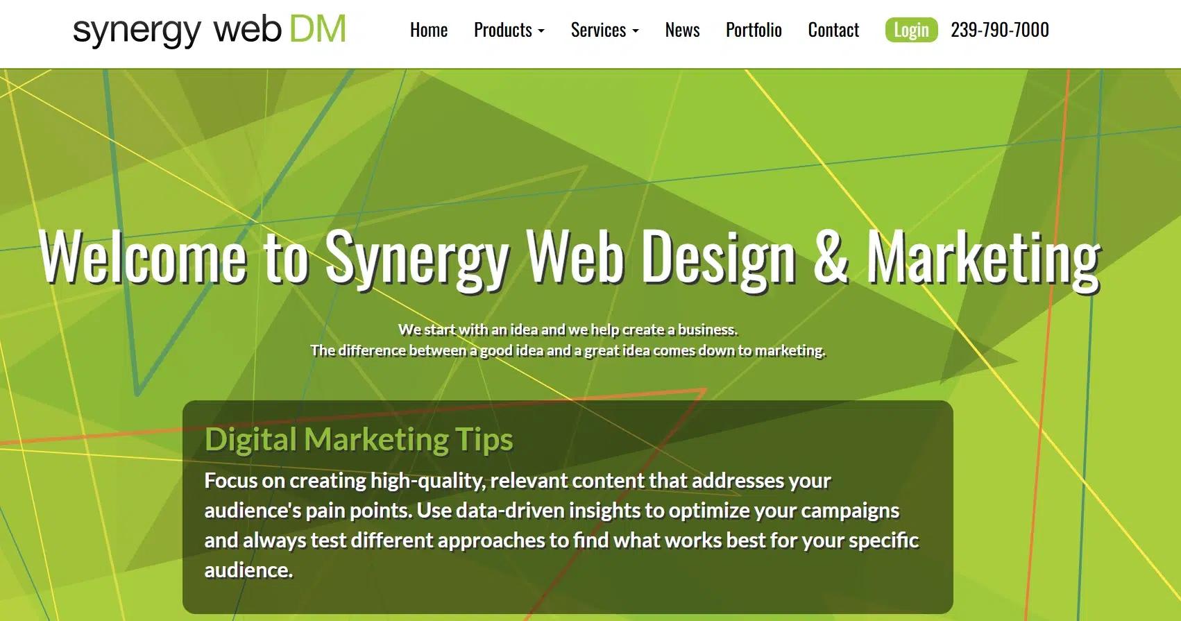 SYNERGY WEB DM