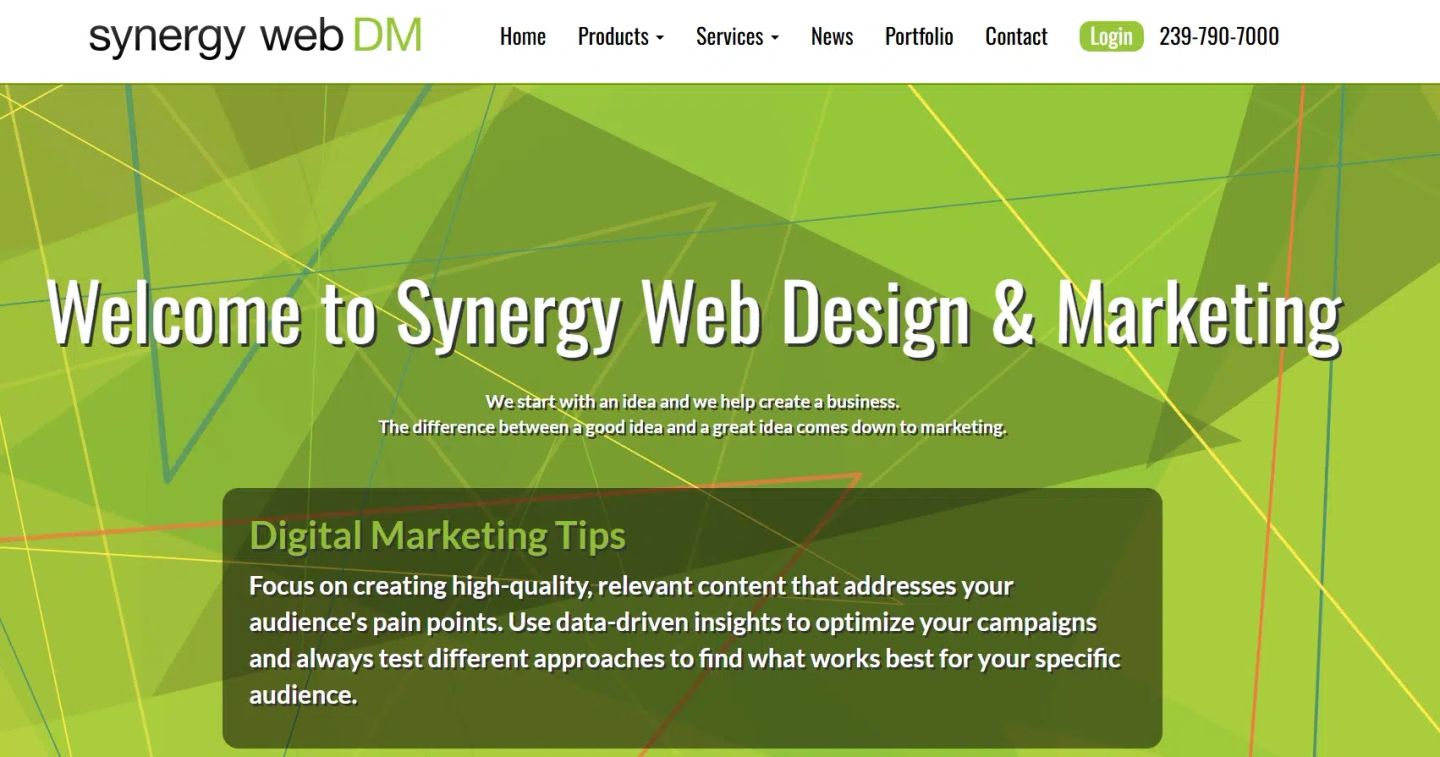 SYNERGY WEB DM