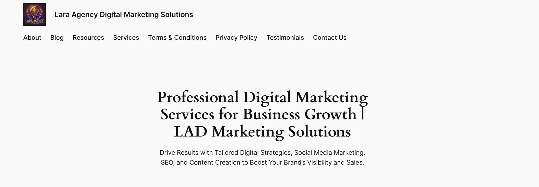 Lara Agency Digital Marketing Solutions (LAD)