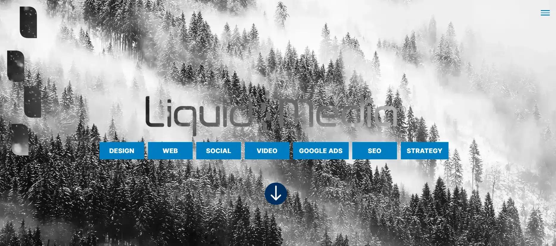 Liquid Media