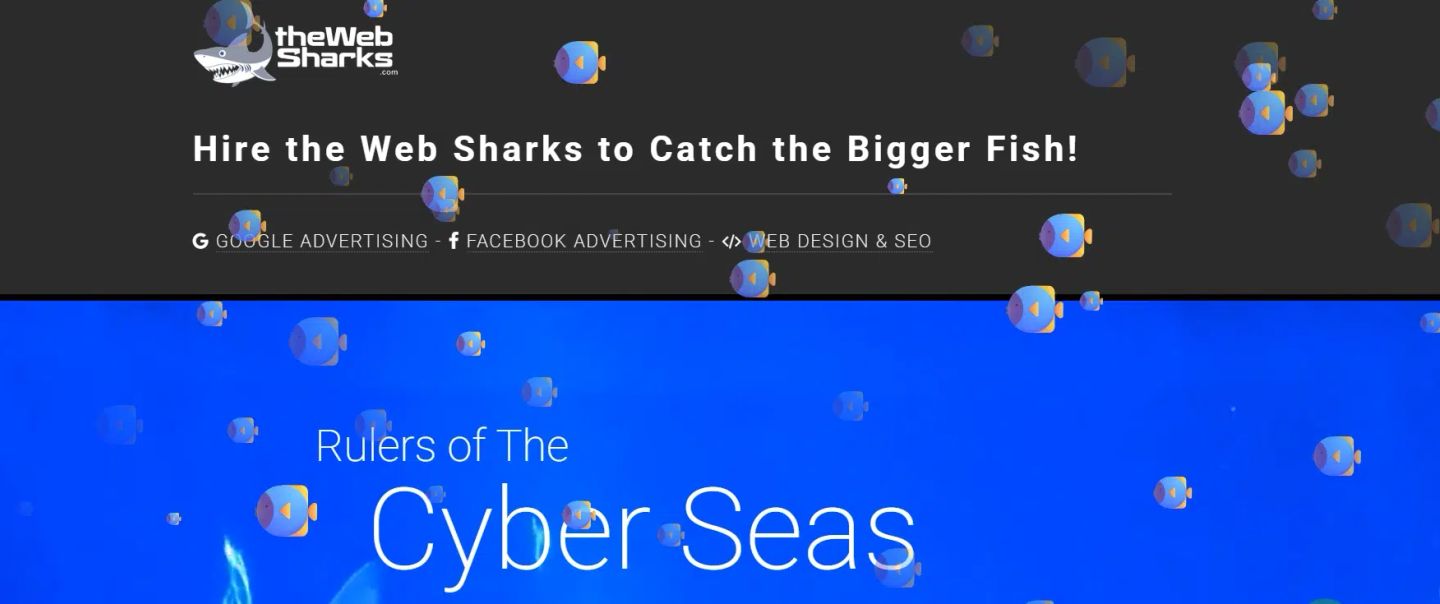 THE WEB SHARKS