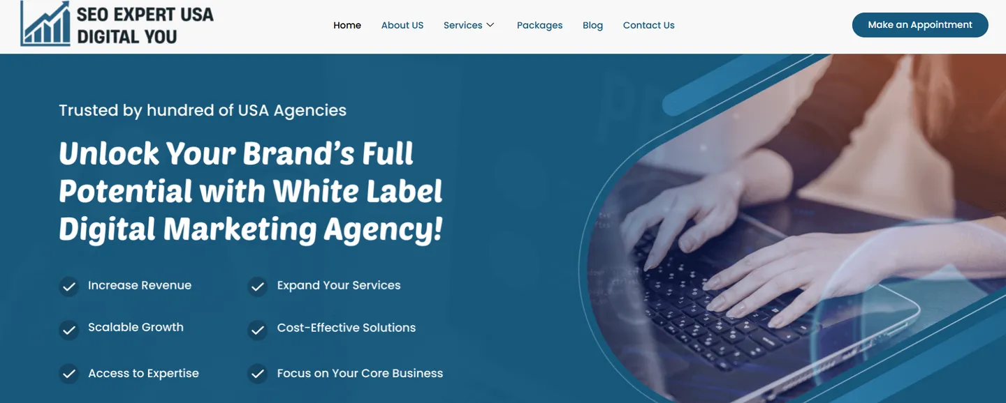 SEO Expert USA