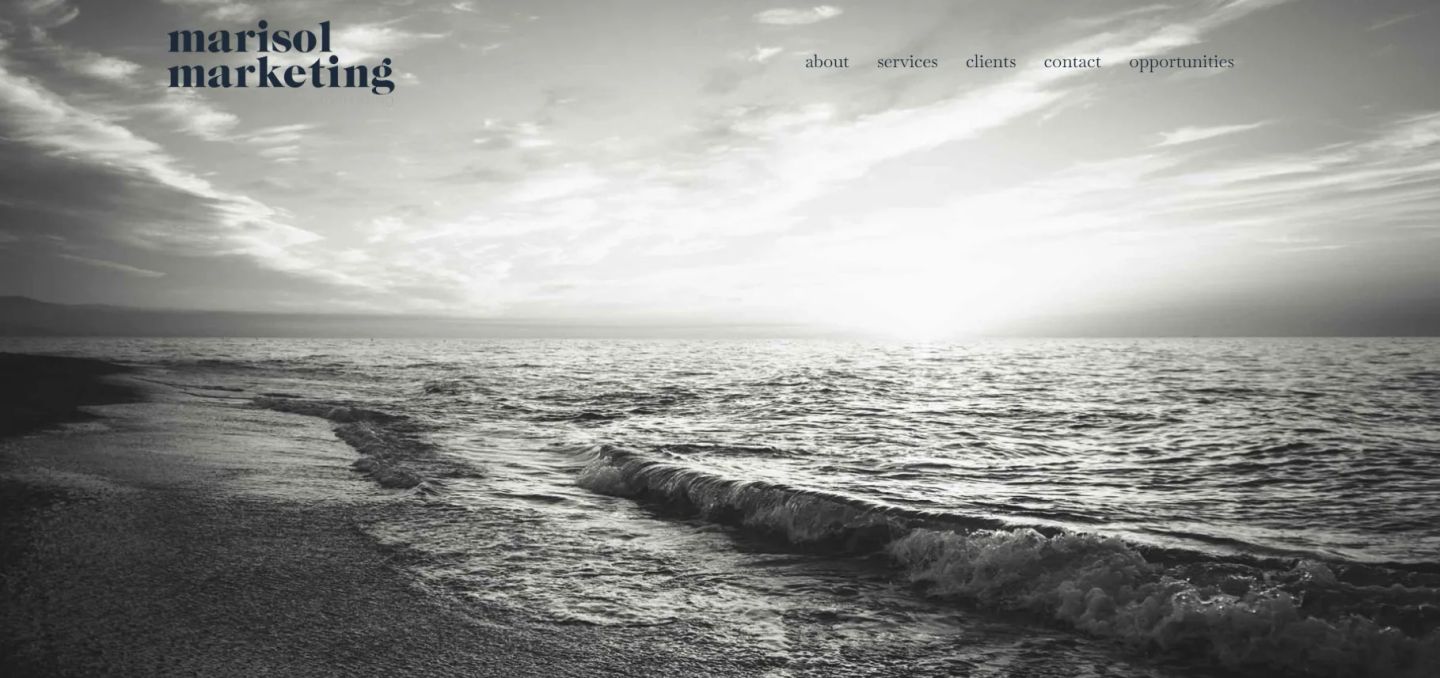 MARISOL MARKETING