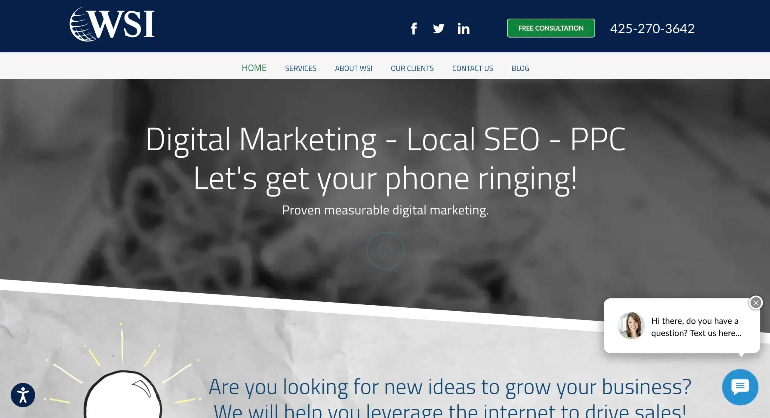 WSI – Web Profit Solutions
