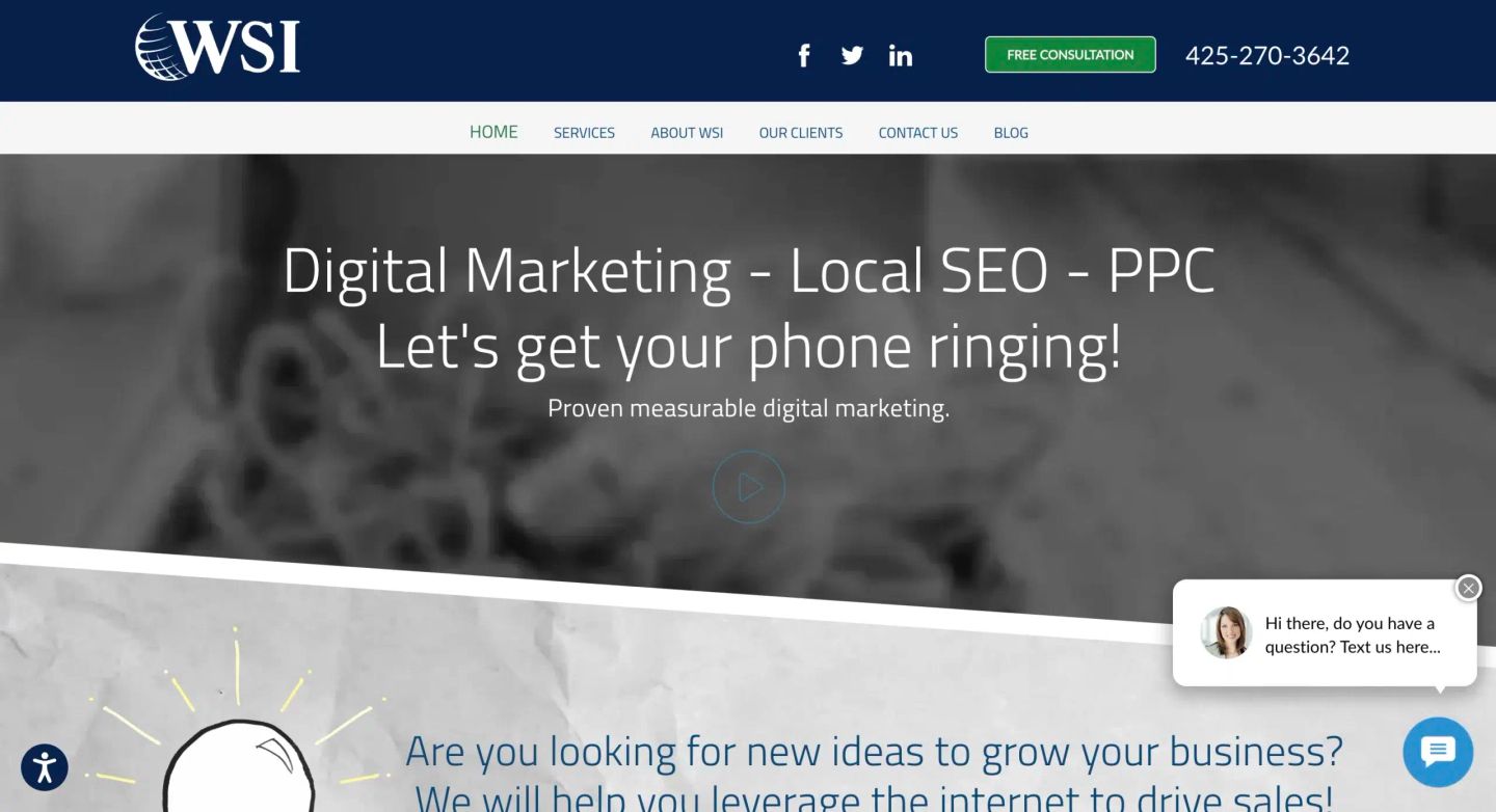 WSI – Web Profit Solutions