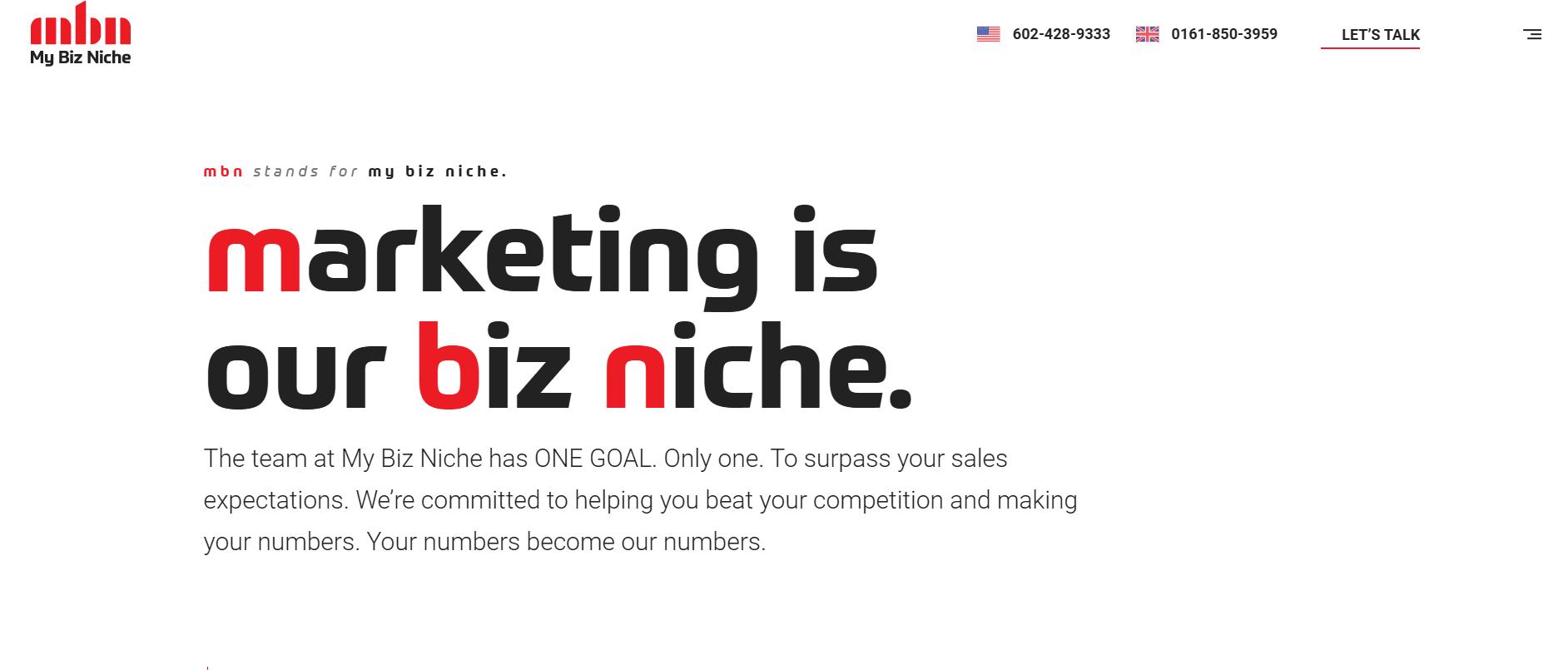 My biz niche