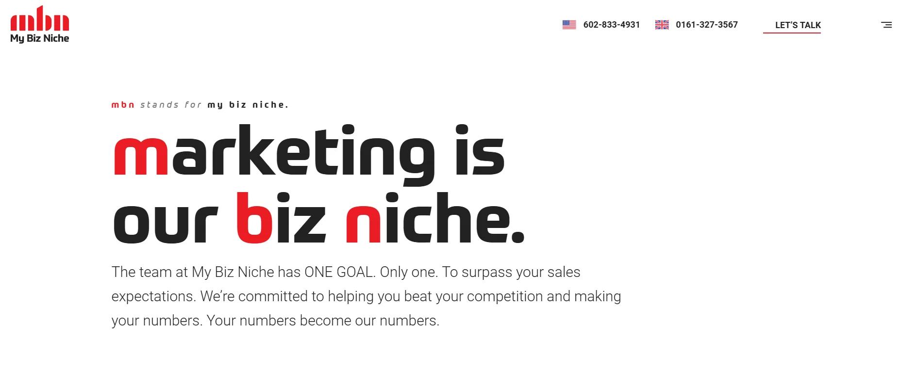 My Biz Niche