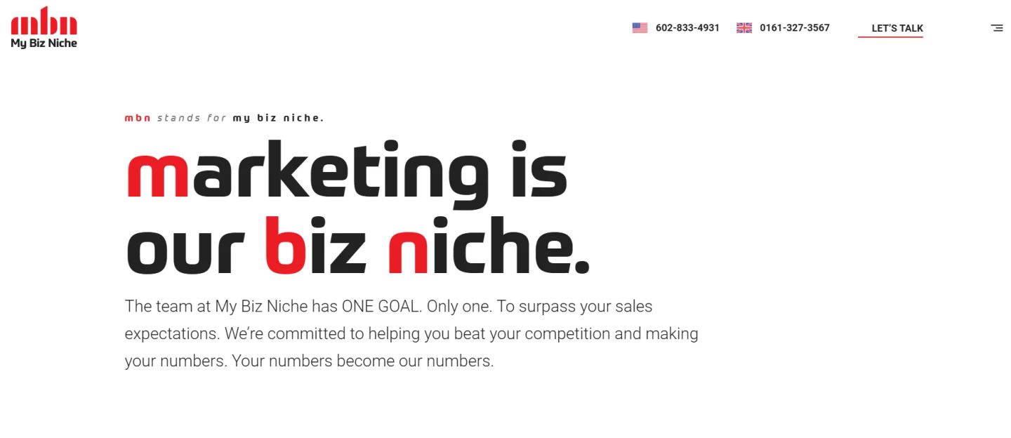 My Biz Niche