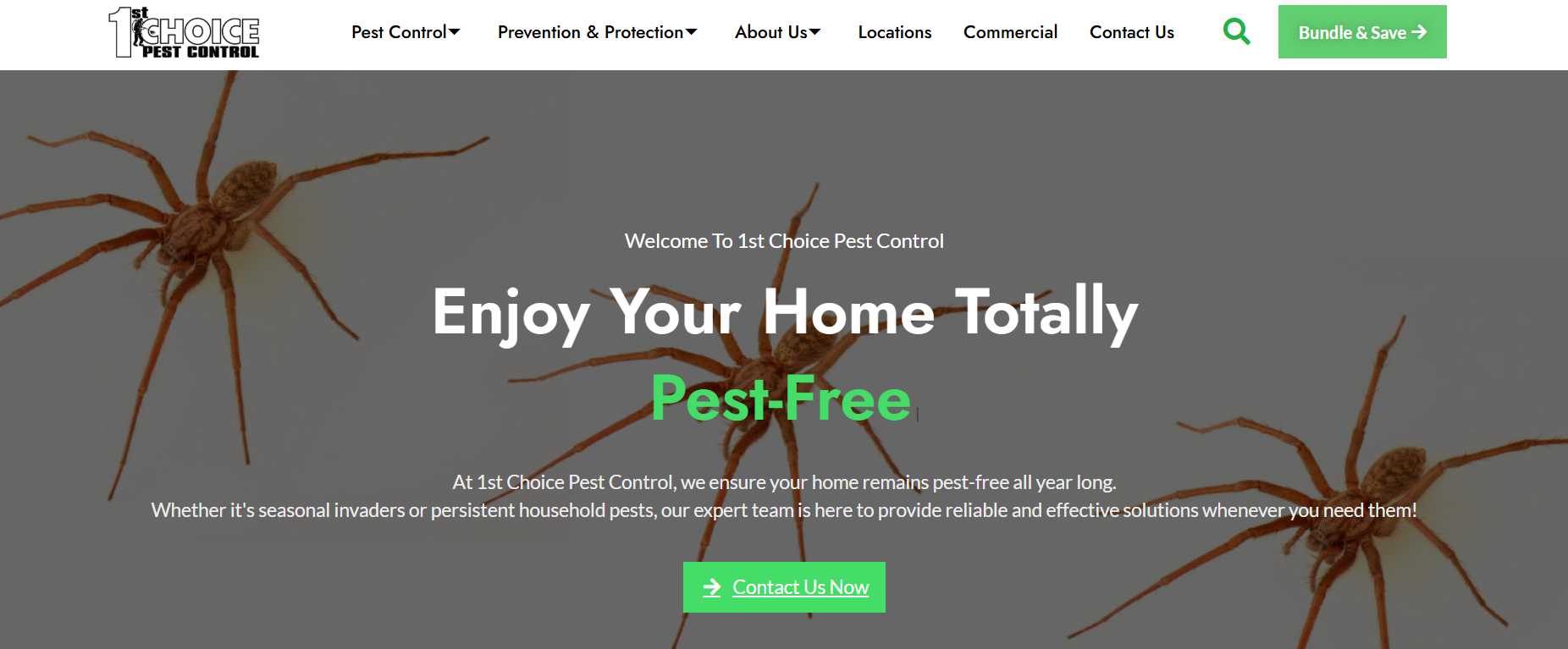 1st Choice Pest Control