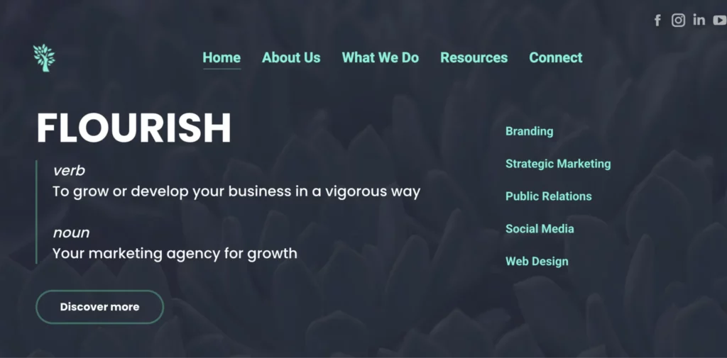 Flourish Consulting Services