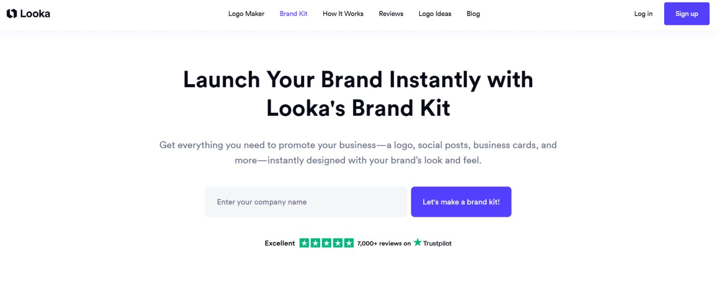 Looka Brand Kit