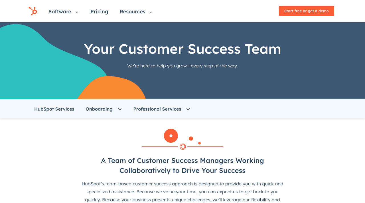 customer success team