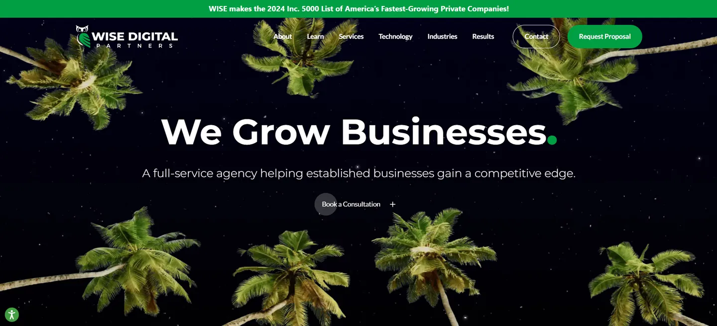 WISE Digital Partners