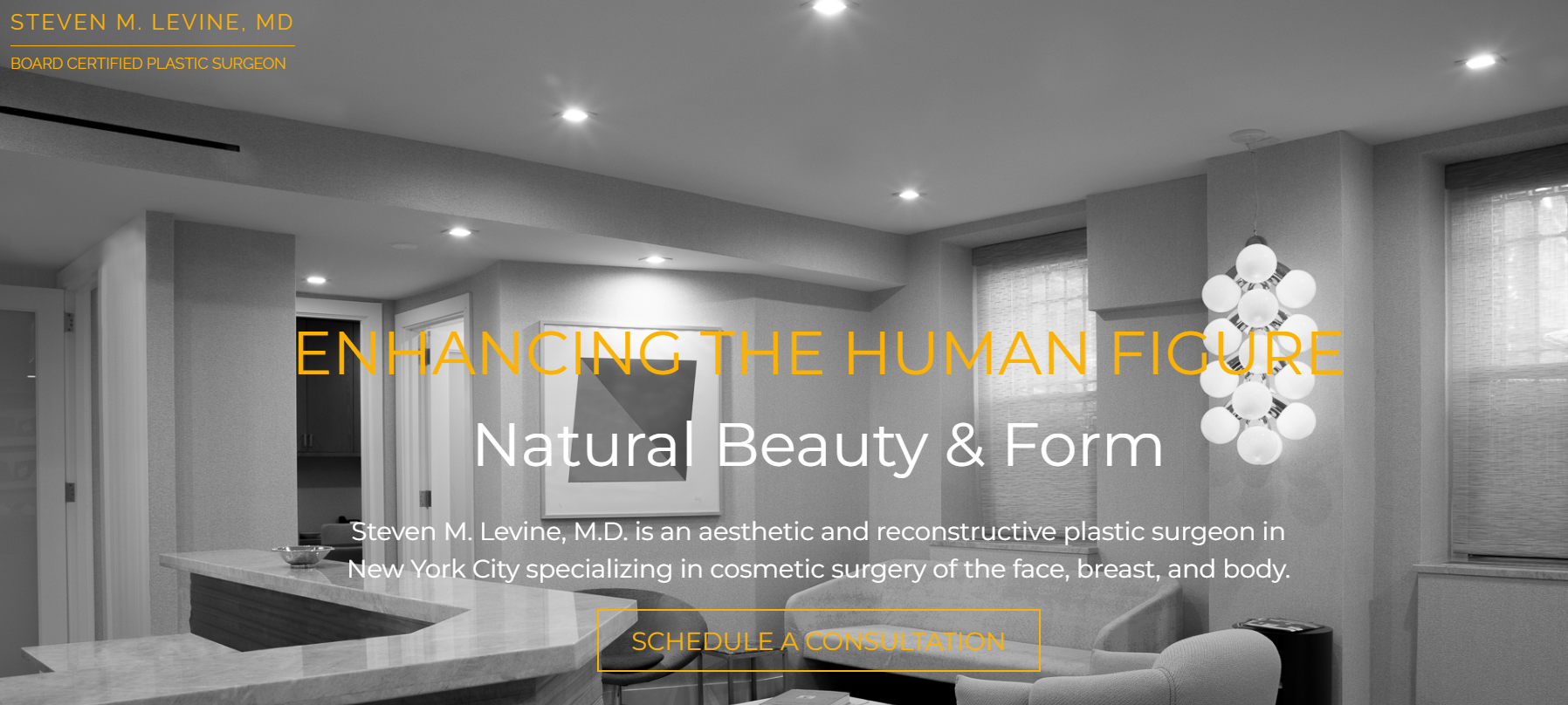 Dr. Steven M. Levine