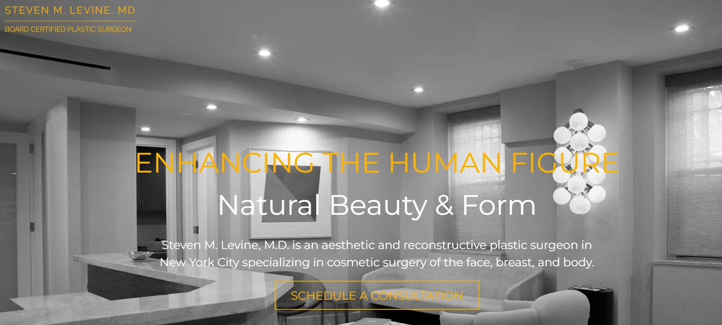 Dr. Steven M. Levine
