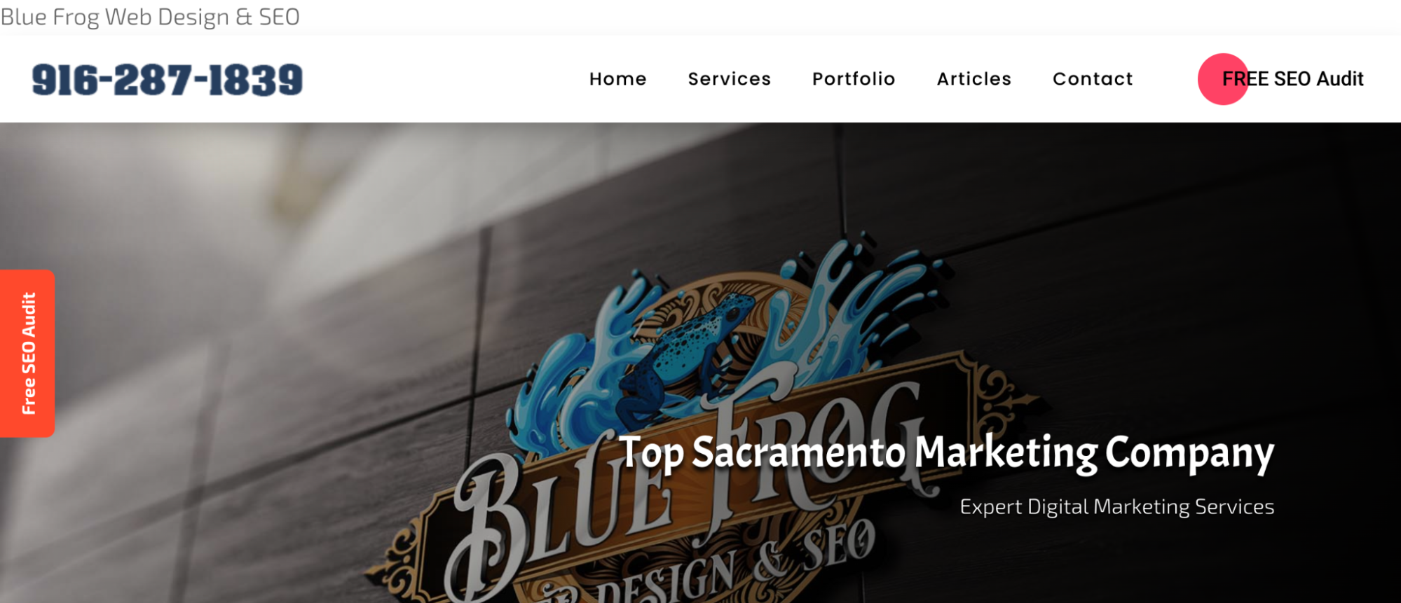 Blue Frog Web Design & SEO