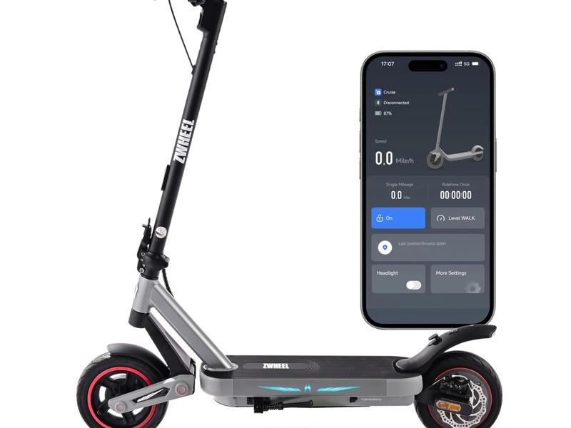 ZWHEEL 10" Adult Electric Scooter with Dual Suspensions