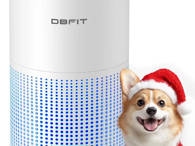 DBFIT H13 HEPA Air Purifier for Large Rooms