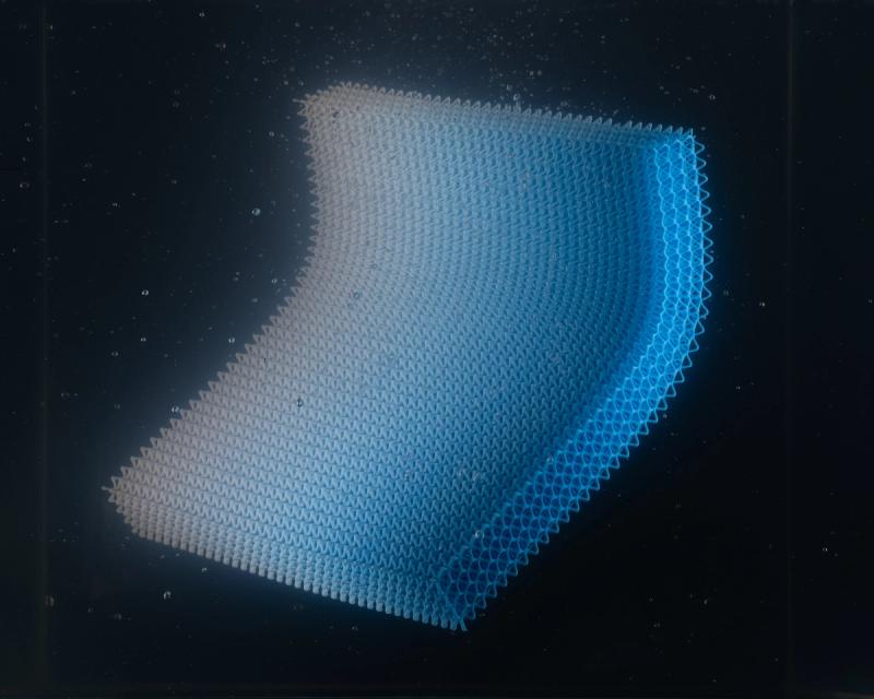 Rlp Technology Technology | Rapid Liquid Print Co.