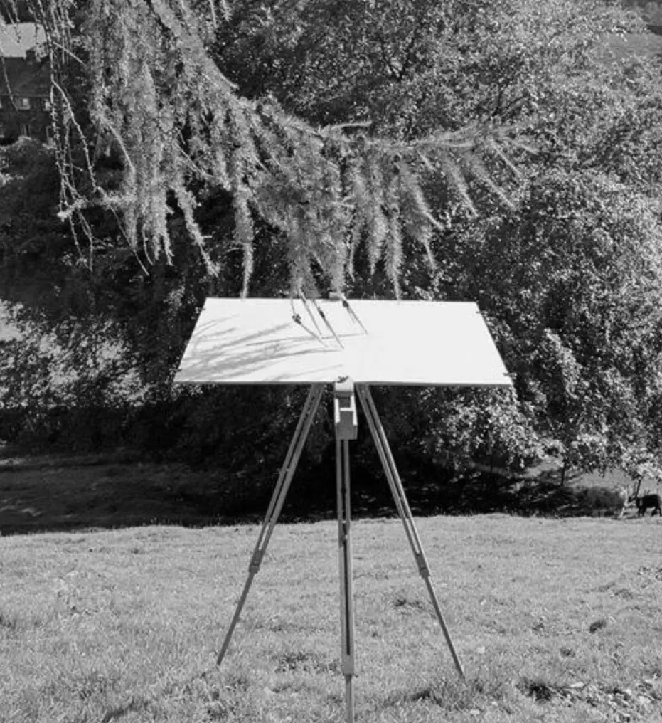 The freedom to create in synch with nature. ‘Tree Drawings’ by Tim Knowles