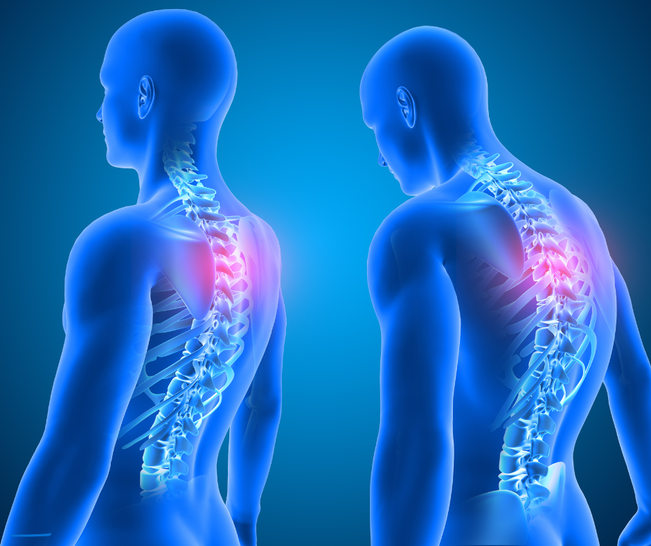 Micro credential courses 