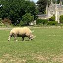 Cotswold Wildlife Park Review: A Proper Family Day Out in the Cotswolds
