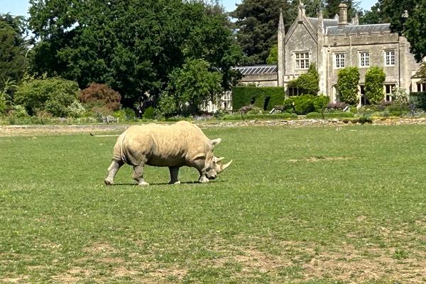 Cotswold Wildlife Park Review: A Proper Family Day Out in the Cotswolds