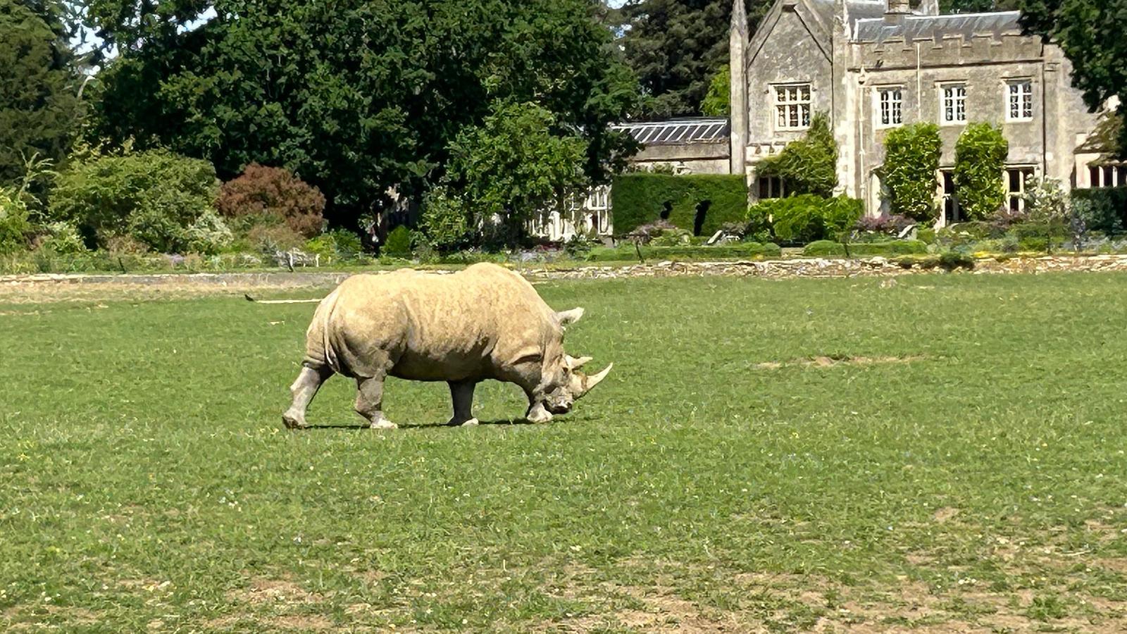 Cotswold Wildlife Park Review: A Proper Family Day Out in the Cotswolds