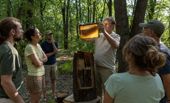 Natural Beekeeping Workshop at Westonbirt