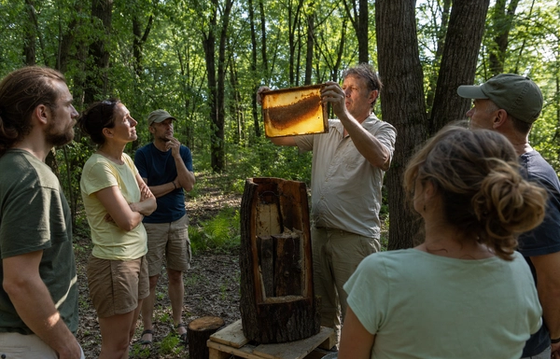 Natural Beekeeping Workshop at Westonbirt