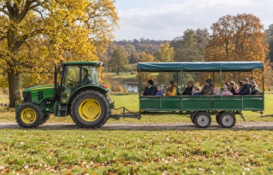 Autumn Tractor Rides at The Old Kennels