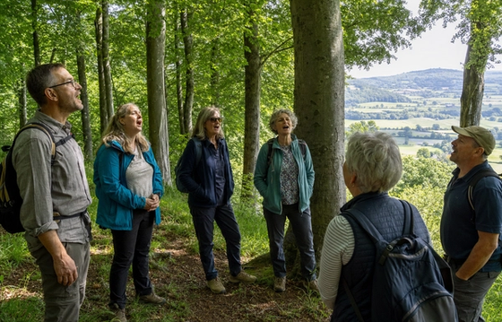 Wild Singing in the Cotswolds