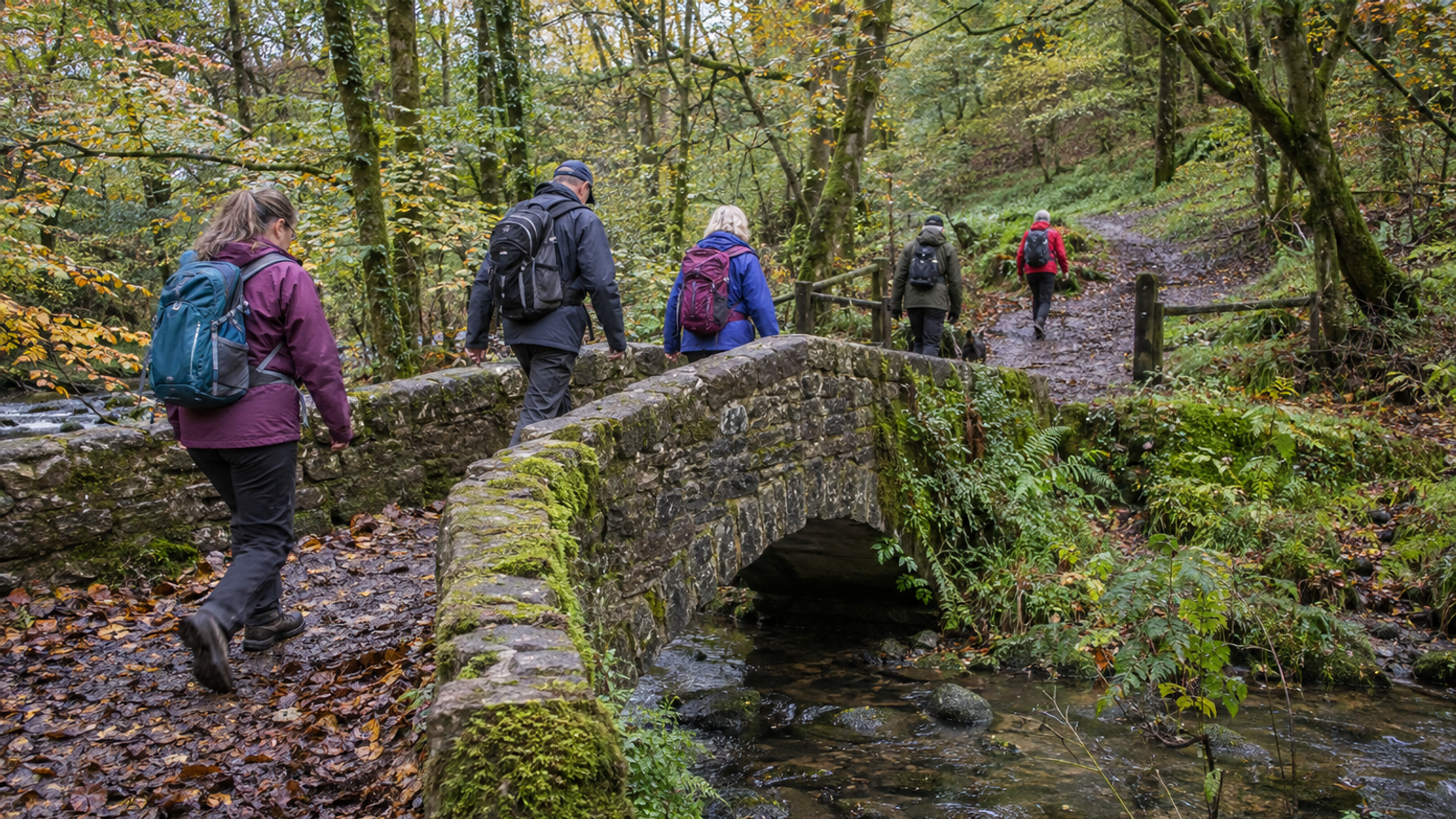 Dursley Walking Festival: Wickwar to Dursley (Hard, 12 miles)