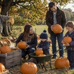 Cirencester Park Pumpkin Patch & Scarecrow Trail
